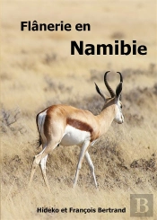 Flanerie En Namibie