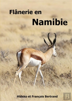 Bertrand.pt - Flanerie En Namibie