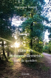 Flâneries Et Émerveillements : Luxe Du Quotidien