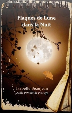 Bertrand.pt - Flaques De Lune Dans La Nuit - Mille Pensees De Passage