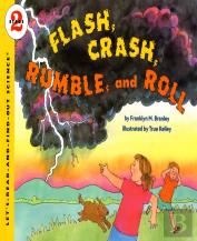 Flash Crash Rumble And Roll