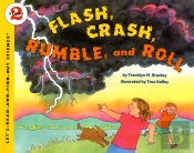 Flash Crash Rumble And Roll