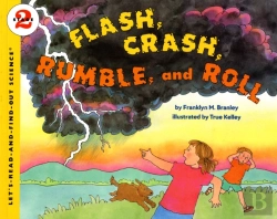 Bertrand.pt - Flash Crash Rumble And Roll