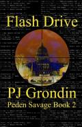 Flash Drive