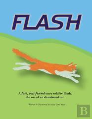 Flash
