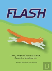 Flash