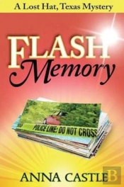 Flash Memory