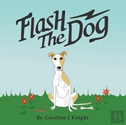 Bertrand.pt - Flash The Dog