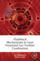 Flashback Mechanisms In Lean Premixed Gas Turbine Combustion