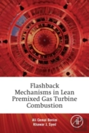 Flashback Mechanisms In Lean Premixed Gas Turbine Combustion