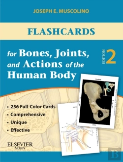 Bertrand.pt - Flashcards For Bones, Joints, And Actions Of The Human Body
