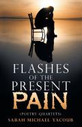 Flashes Of The Present Pain