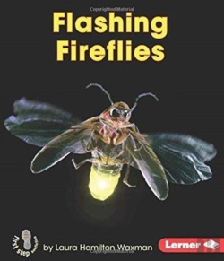 Bertrand.pt - Flashing Fireflies