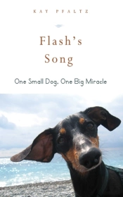 Flash'S Song
