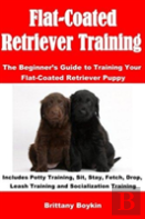 Flat-Coated Retriever Training