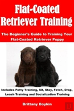 Bertrand.pt - Flat-Coated Retriever Training