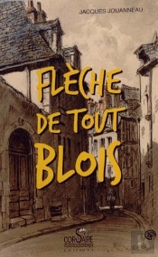 Fleche De Tout Blois