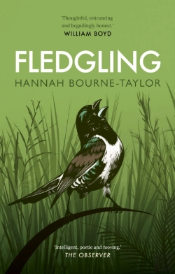Bertrand.pt - Fledgling