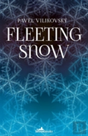 Fleeting Snow