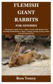 Flemish Giant Rabbits For Newbies