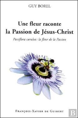 Bertrand.pt - Fleur De La Passion Du Christ