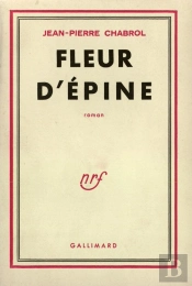Fleur D'Épine