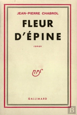Bertrand.pt - Fleur D'Épine