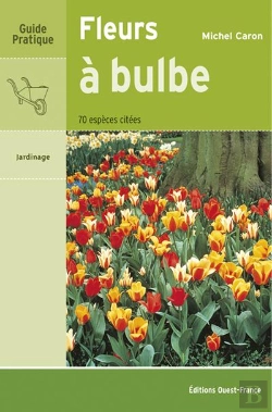 Bertrand.pt - Fleurs À Bulbe