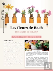 Fleurs De Bach - L'Energie Par L'Essence Des Fleurs
