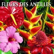 Fleurs Des Antilles