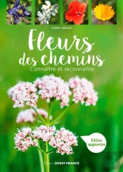 Fleurs Des Chemins