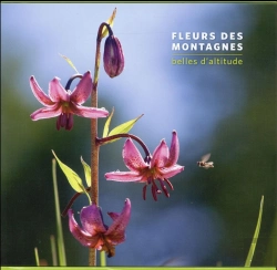 Bertrand.pt - Fleurs Des Montagnes