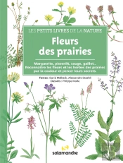 Fleurs Des Prairies