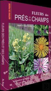 Fleurs Des Prés Et Des Champs
