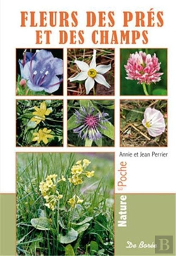 Bertrand.pt - Fleurs Des Prés