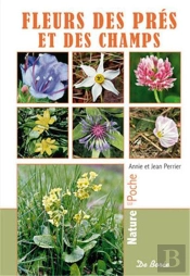 Fleurs Des Prés