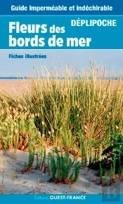 Fleurs Du Bord De Mer