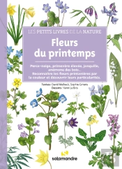 Fleurs Du Printemps