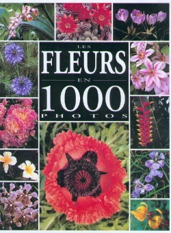 Bertrand.pt - Fleurs En 1000 Photos