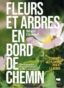 Bertrand.pt - Fleurs Et Arbres En Bord De Chemin