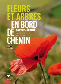 Bertrand.pt - Fleurs Et Arbres En Bord De Chemin