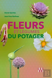 Fleurs Et Légumes Du Potager
