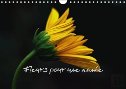 Bertrand.pt - Fleurs Pour Une Annee Calendrier Mural 2018 Din A4 Horizontal