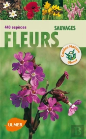 Fleurs Sauvages