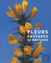 Fleurs Sauvages De Bretagne