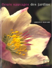 Fleurs Sauvages Des Jardins