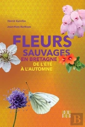 Fleurs Sauvages En Bretagne, De L'Ete A L'Automne