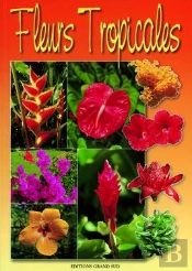 Fleurs Tropicales