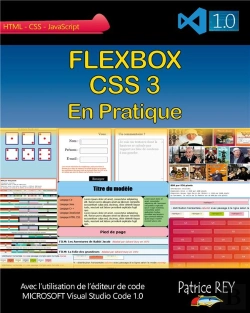 Bertrand.pt - Flexbox Css 3 En Pratique ; Avec Visual Studio Code 1.0