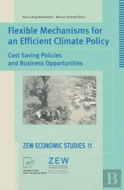 Flexible Mechanisms For An Efficient Climate Policy